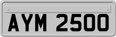 AYM2500