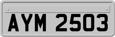 AYM2503
