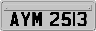 AYM2513