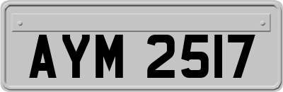 AYM2517