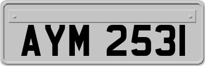 AYM2531