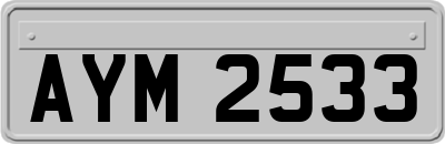 AYM2533
