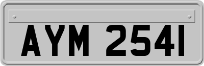 AYM2541