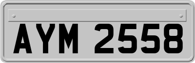 AYM2558