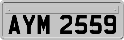 AYM2559