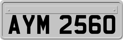 AYM2560