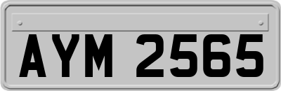 AYM2565