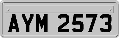 AYM2573