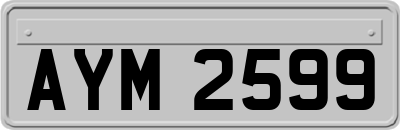 AYM2599