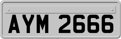 AYM2666