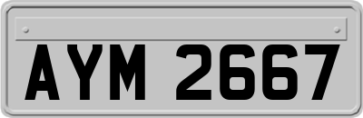 AYM2667