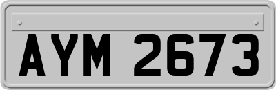 AYM2673