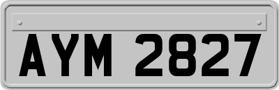 AYM2827