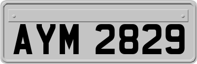 AYM2829