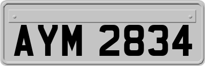 AYM2834