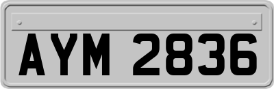 AYM2836