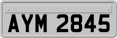 AYM2845