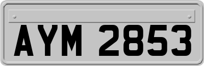 AYM2853