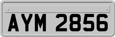 AYM2856