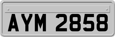 AYM2858