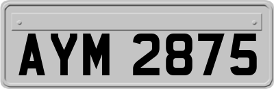 AYM2875