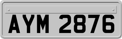 AYM2876