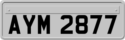 AYM2877