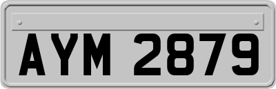 AYM2879