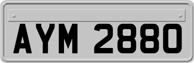 AYM2880