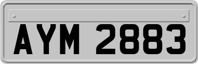 AYM2883