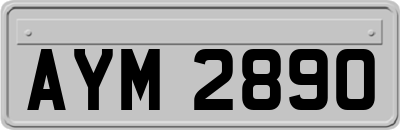AYM2890
