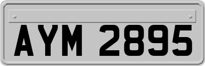 AYM2895