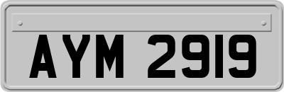 AYM2919