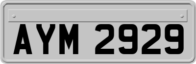 AYM2929