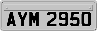 AYM2950