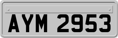 AYM2953