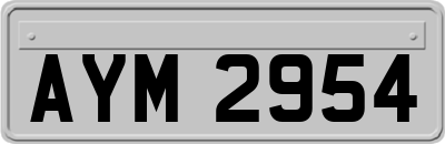 AYM2954