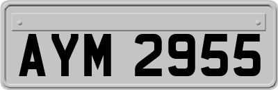AYM2955