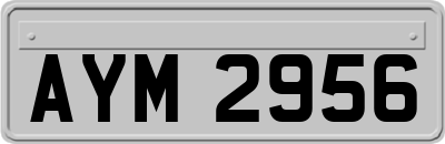 AYM2956