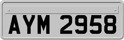 AYM2958