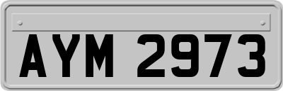 AYM2973