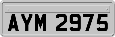 AYM2975