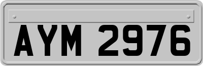 AYM2976
