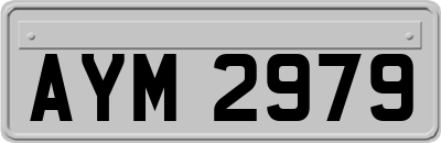 AYM2979