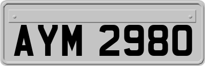 AYM2980