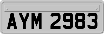 AYM2983