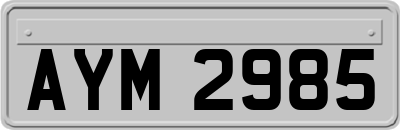 AYM2985