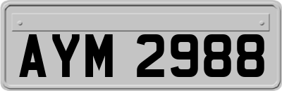 AYM2988