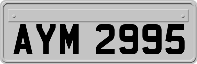 AYM2995