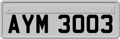 AYM3003